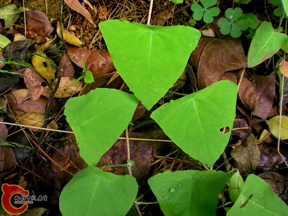 DSCN3597.JPG