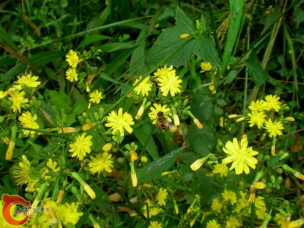 DSCN3602.JPG