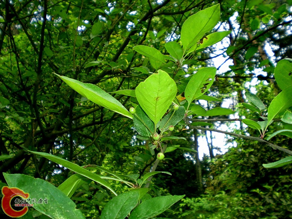 DSCN3603.JPG
