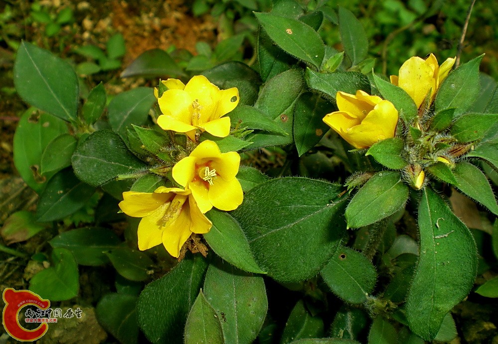 DSCN3611.JPG