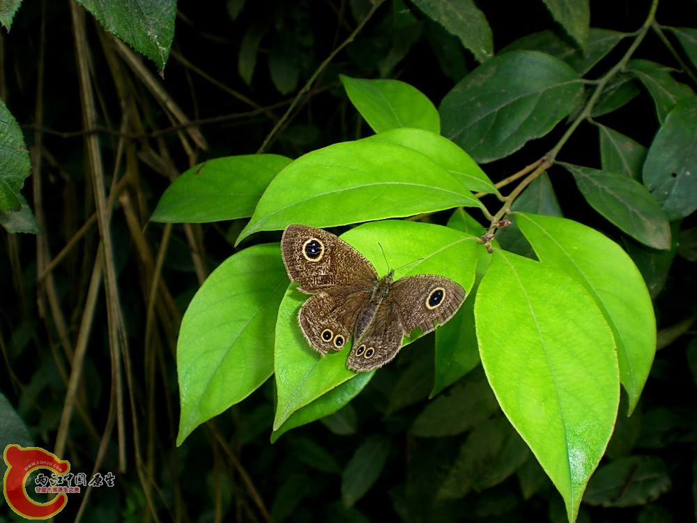 DSCN3613.JPG