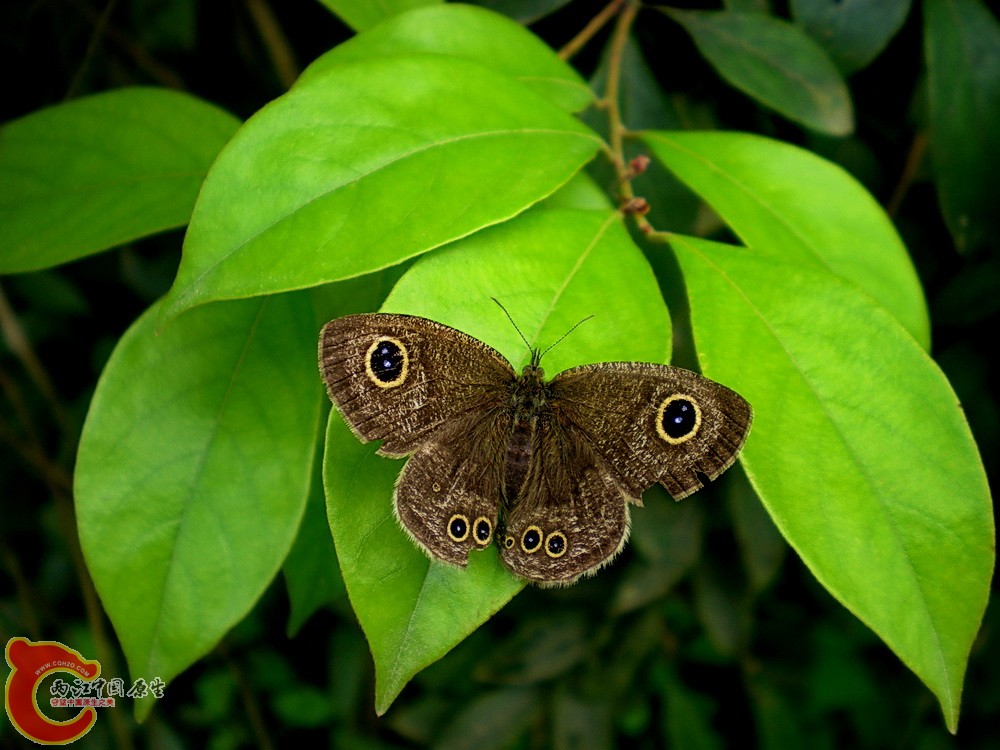 DSCN3614.JPG