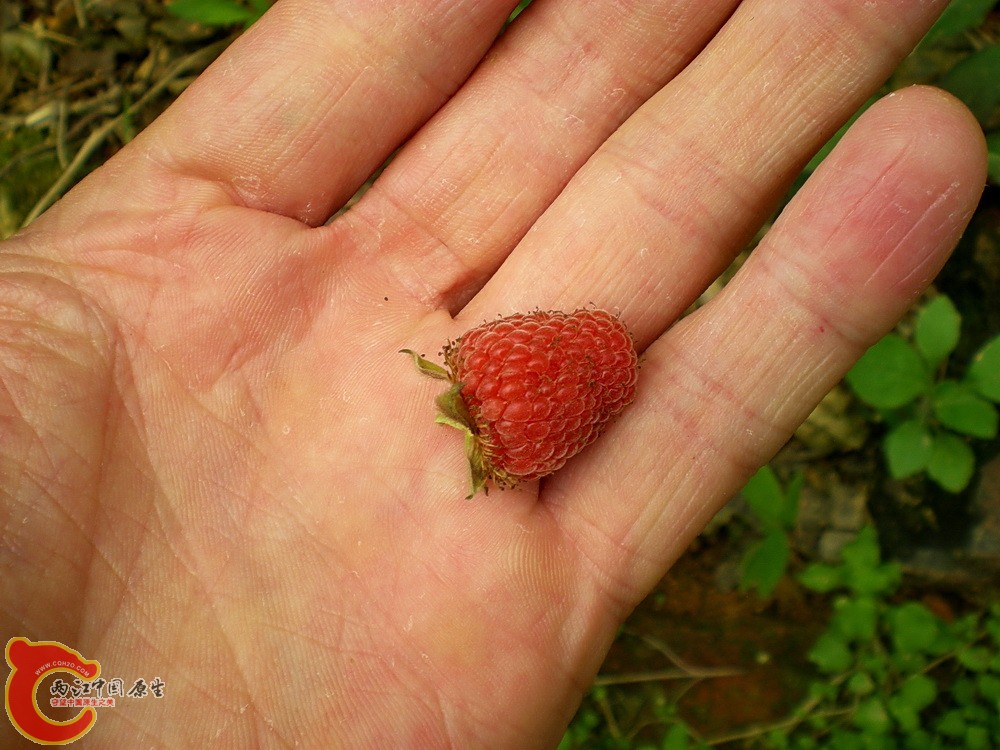 DSCN3633.JPG