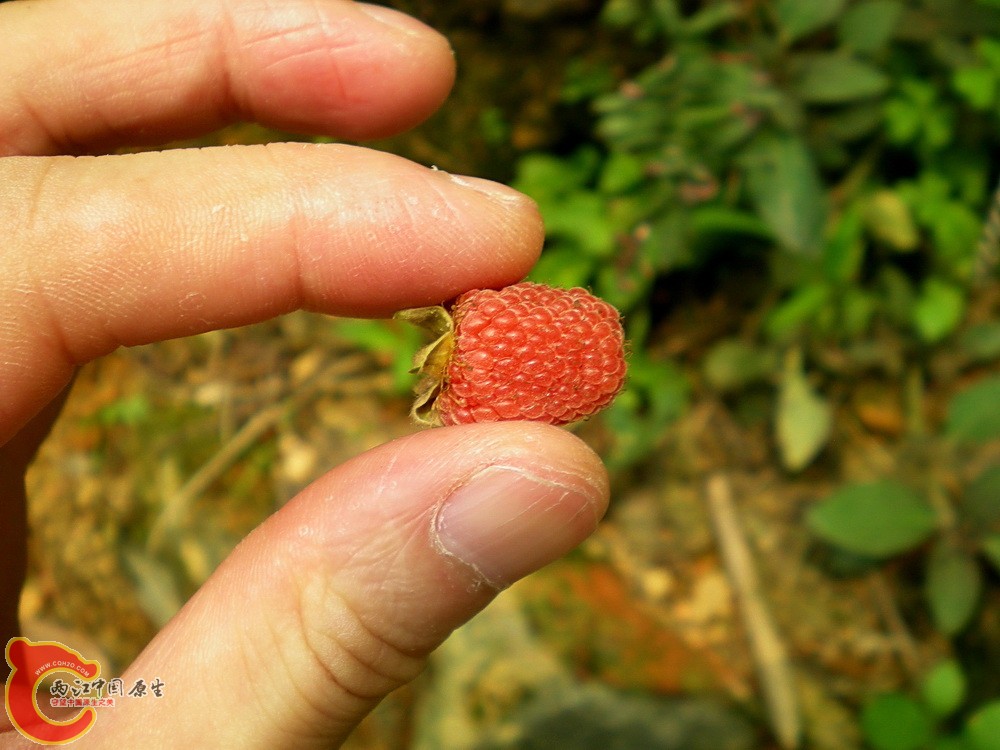 DSCN3634.JPG