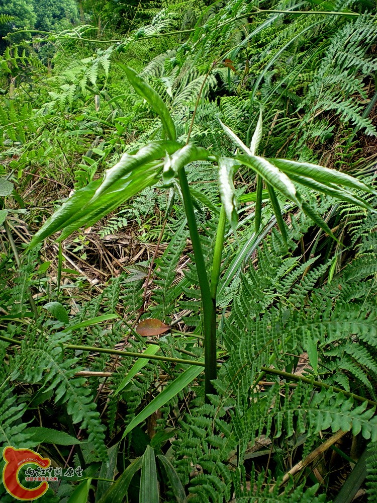 DSCN3620.JPG