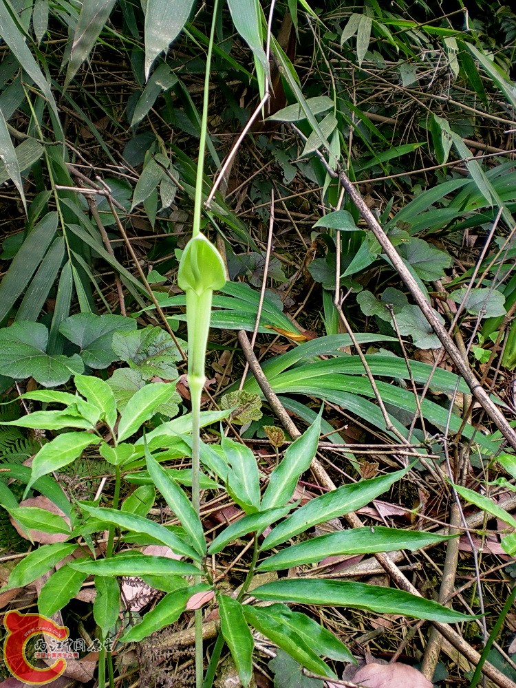 DSCN3621.JPG