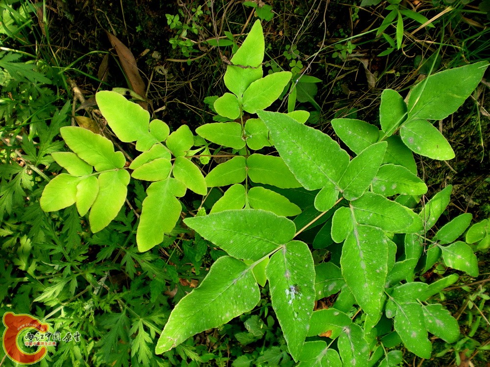 DSCN3640.JPG