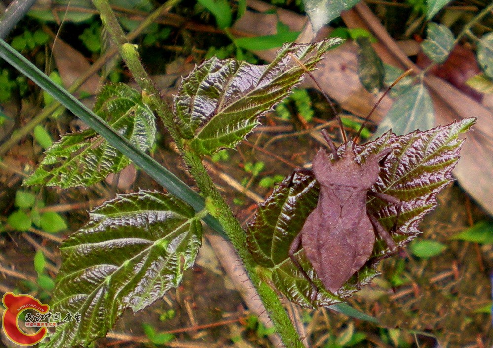 DSCN3628.JPG