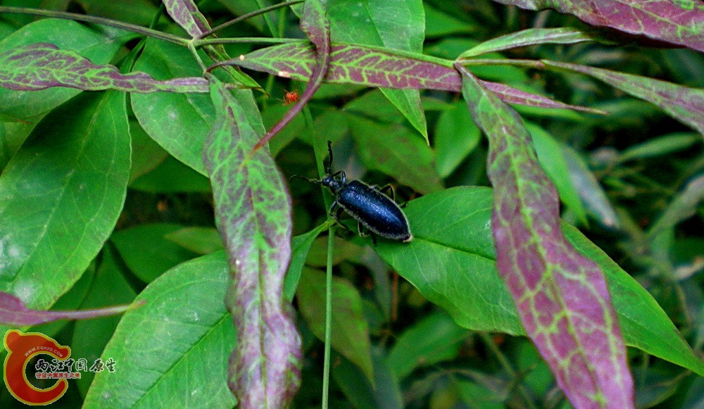 DSCN3645.JPG