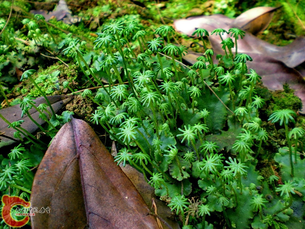 DSCN3646.JPG