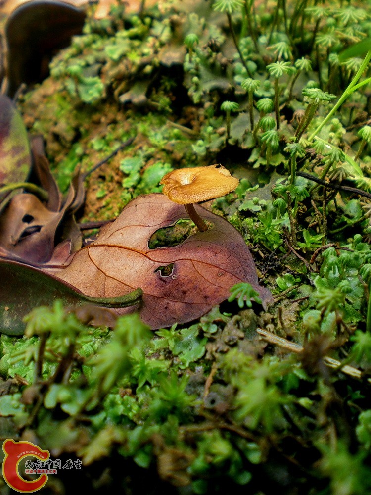 DSCN3650.JPG