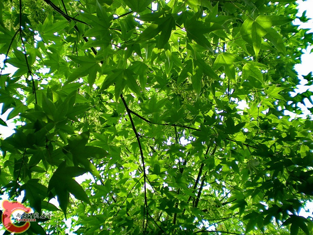 DSCN3652.JPG