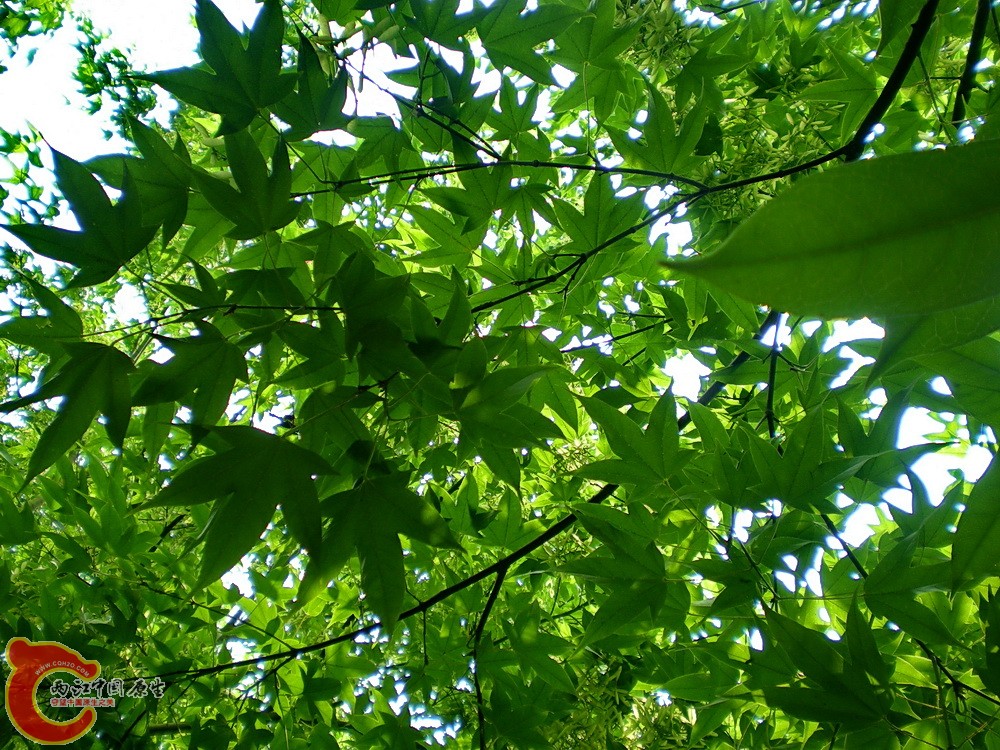 DSCN3653.JPG