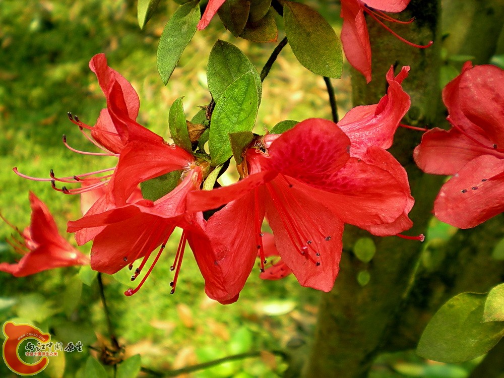 DSCN3656.JPG