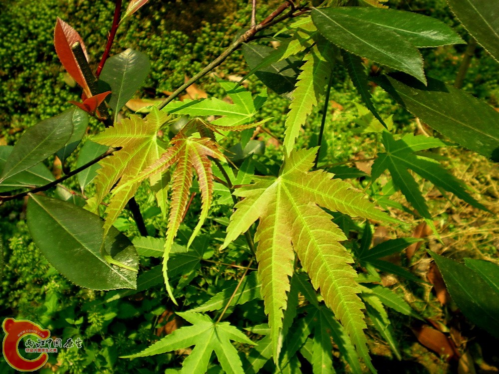 DSCN3658.JPG
