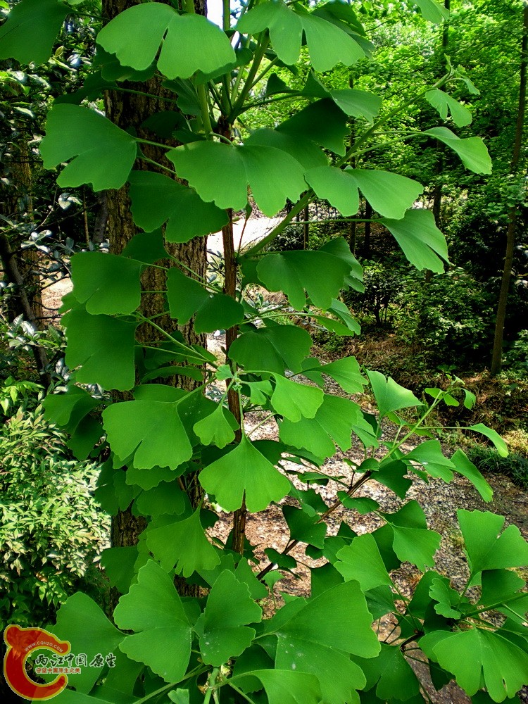 DSCN3659.JPG