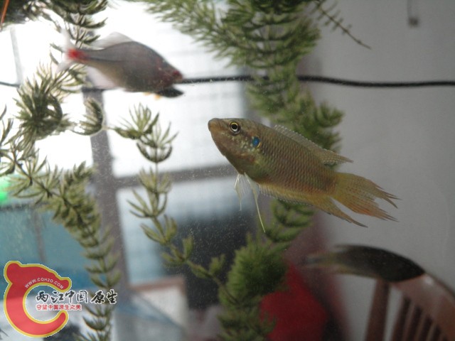 DSC02389.JPG