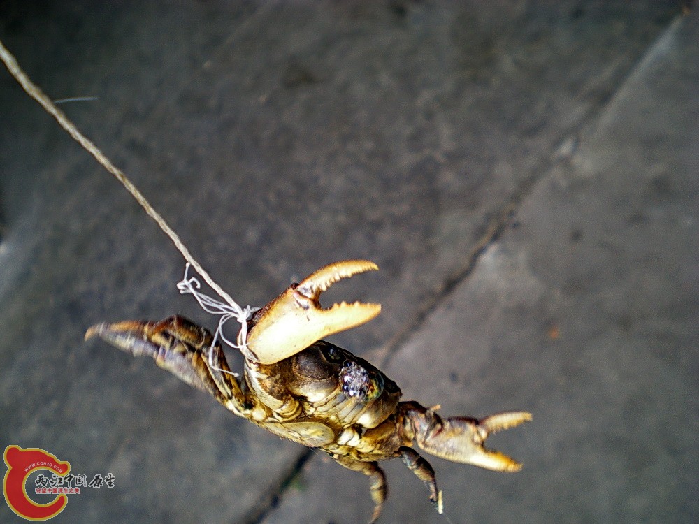 DSCN3668.JPG