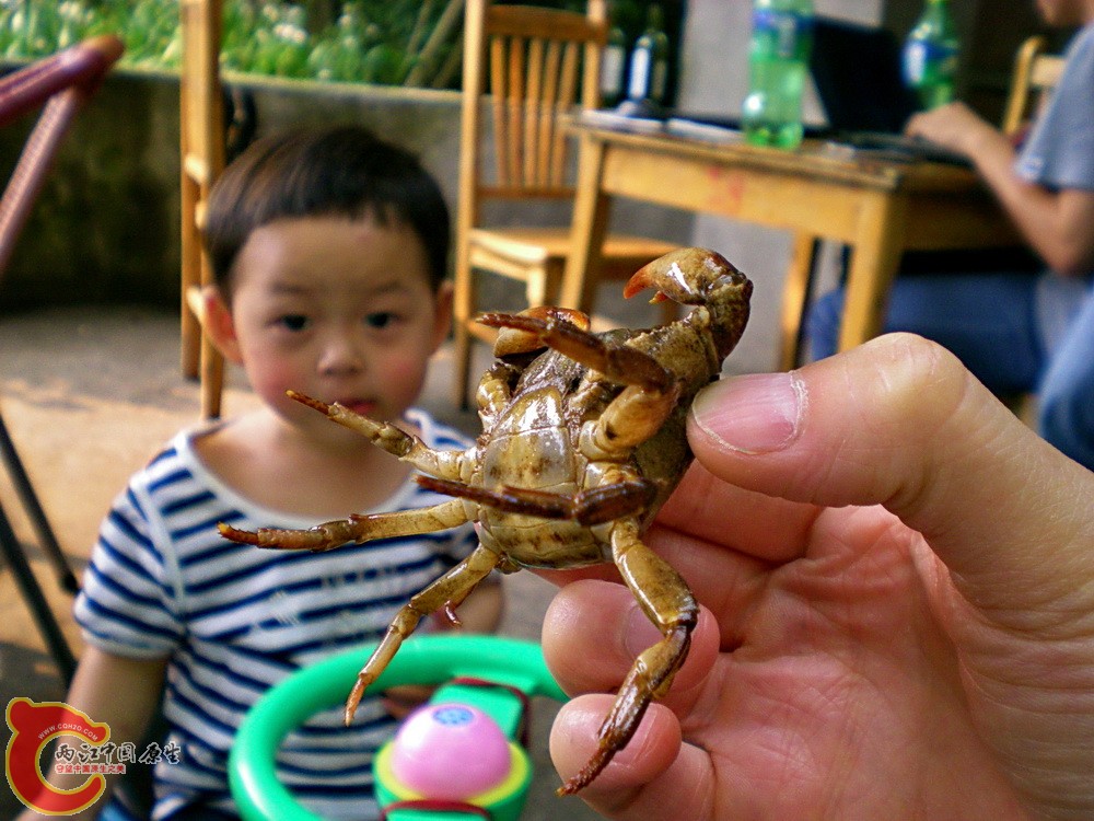 DSCN3674.JPG