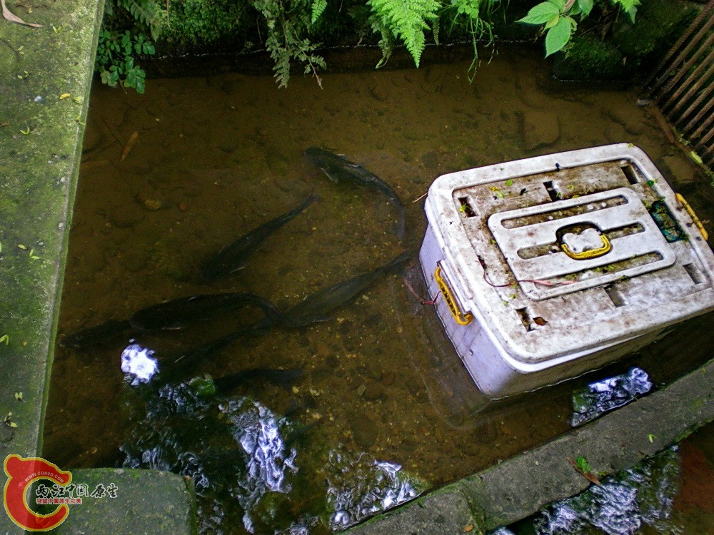 DSCN3669.JPG