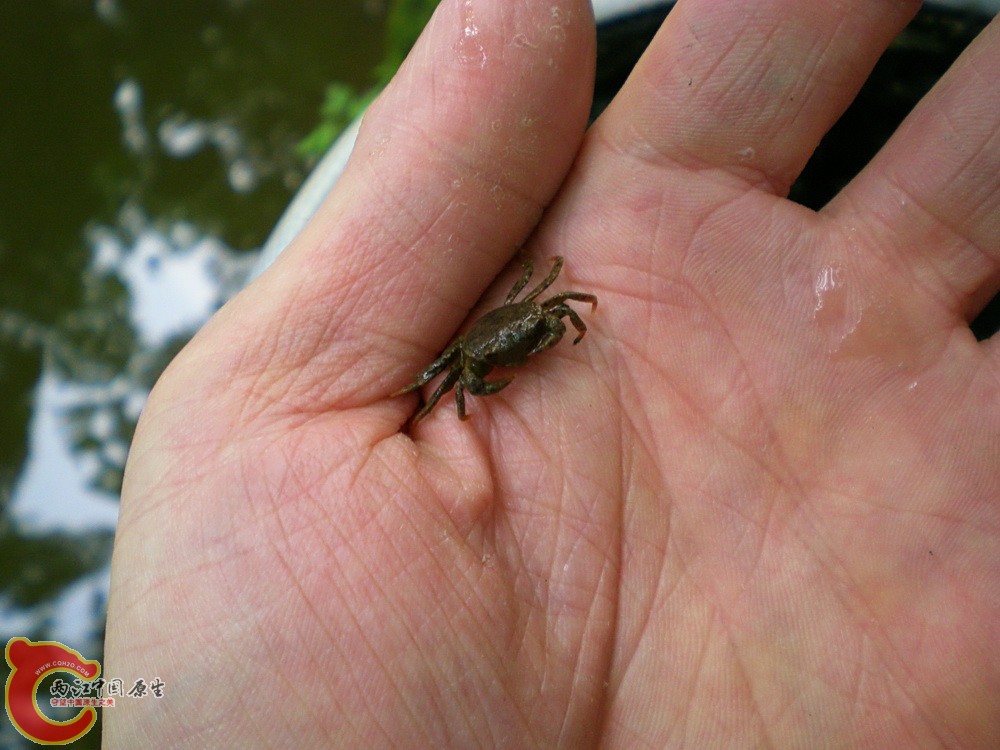 DSCN3678.JPG