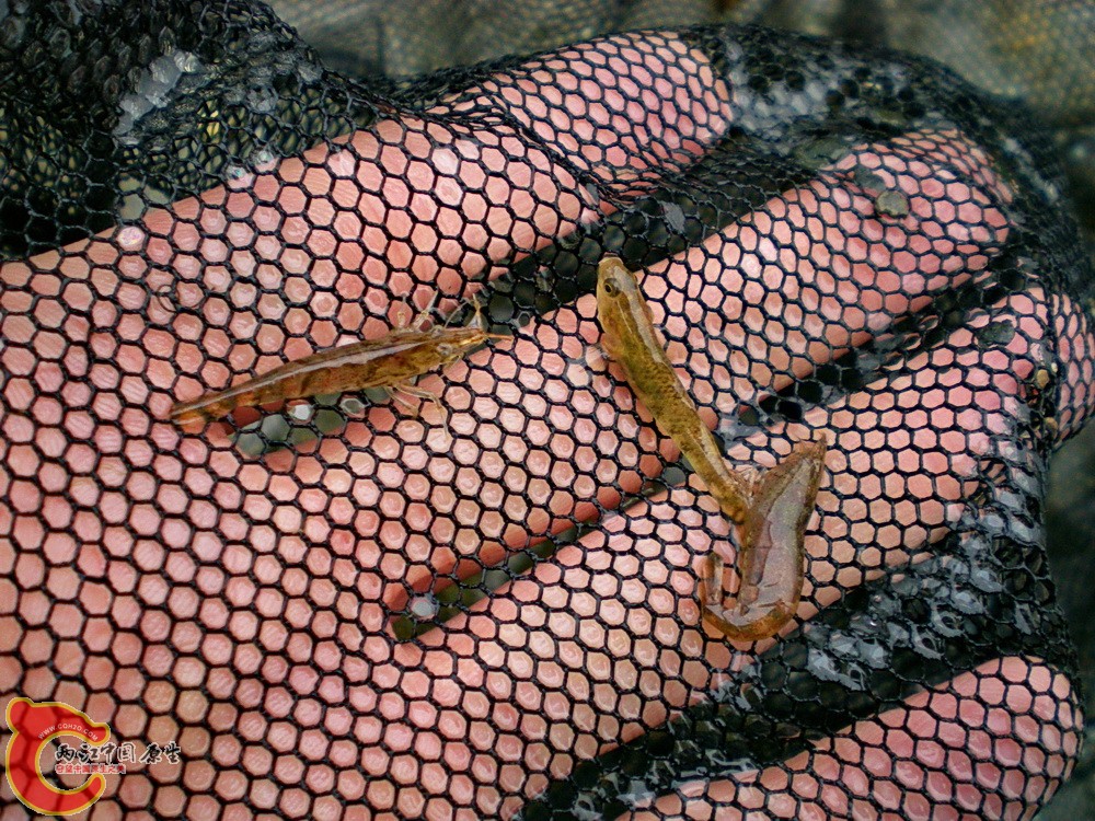 DSCN3704.JPG