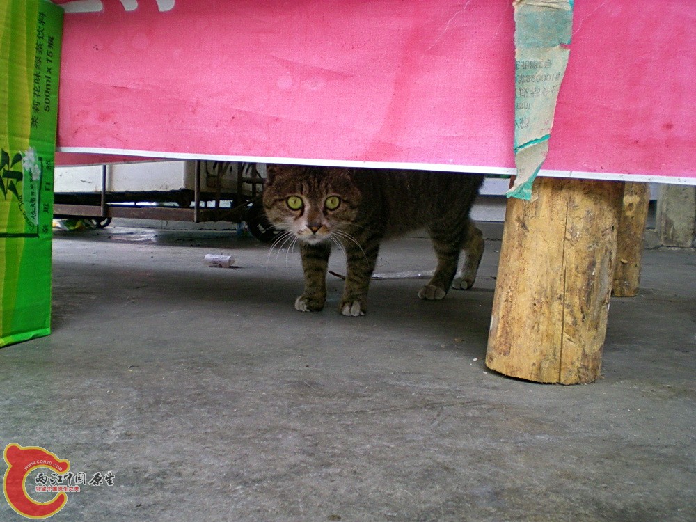 DSCN3692.JPG