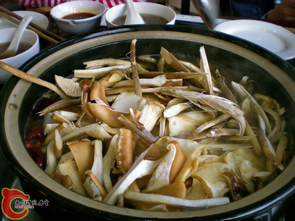 DSCN3727.JPG
