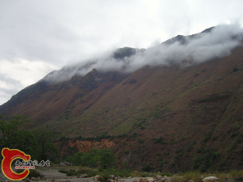 SNC12795.jpg