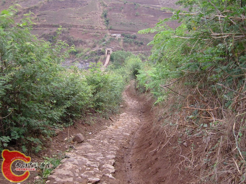 SNC12891.jpg