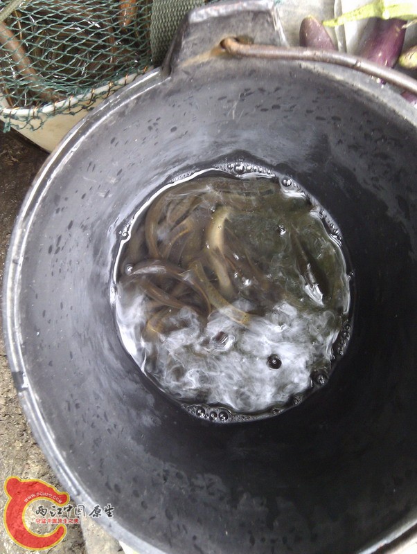 IMG_20120430_083417.jpg
