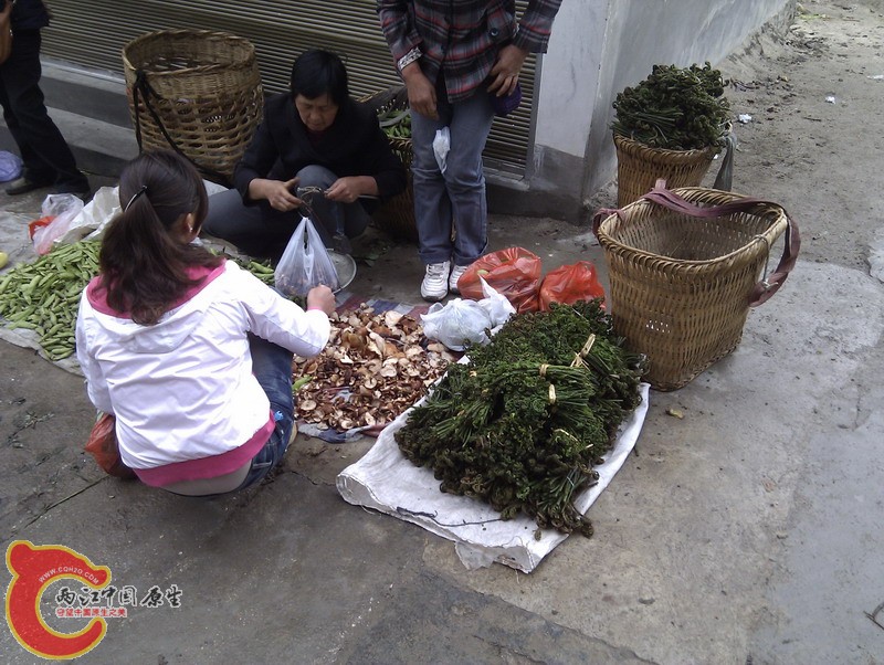 IMG_20120430_083734.jpg