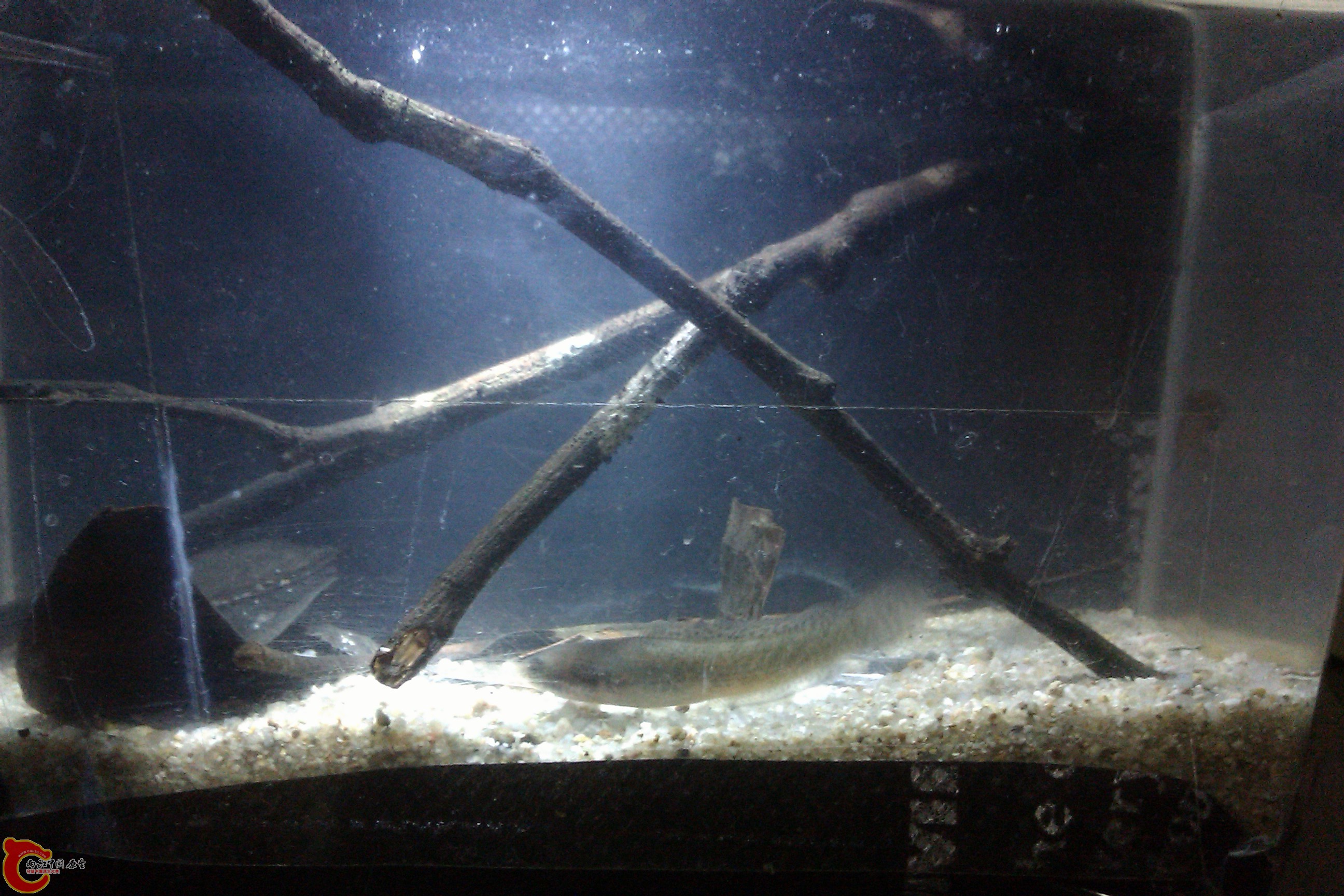 IMAG0315.jpg