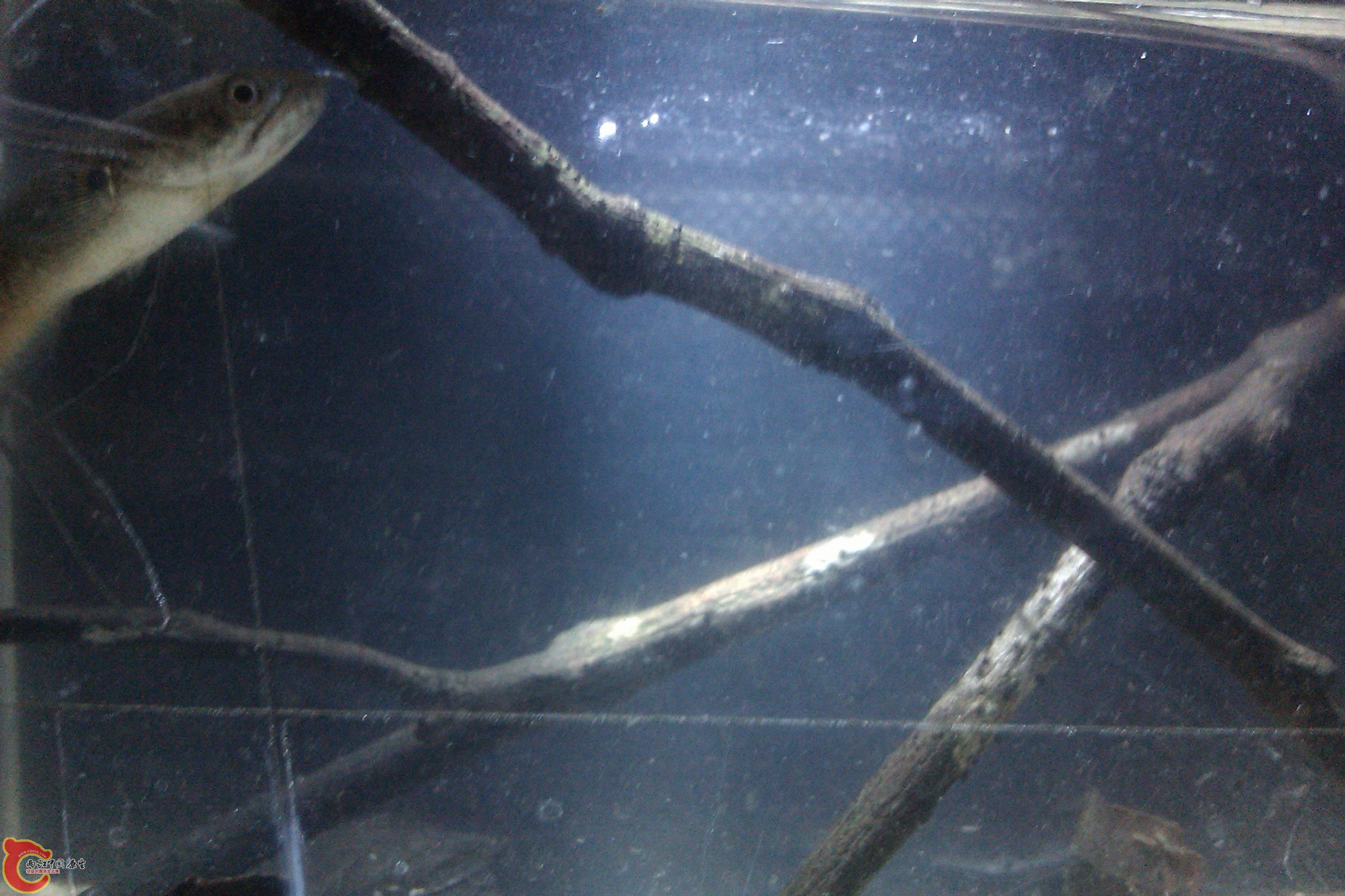 IMAG0318.jpg