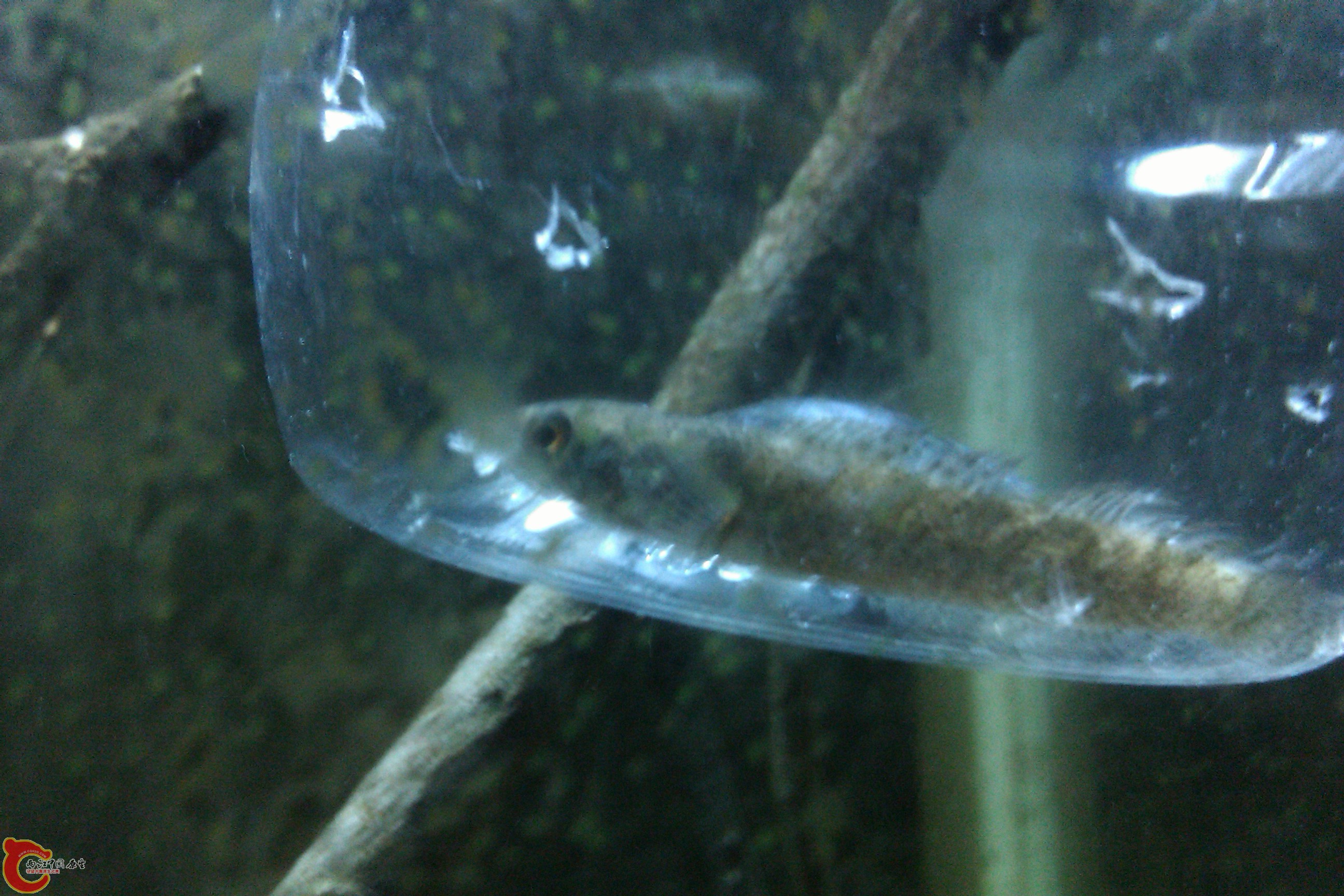 IMAG0320.jpg