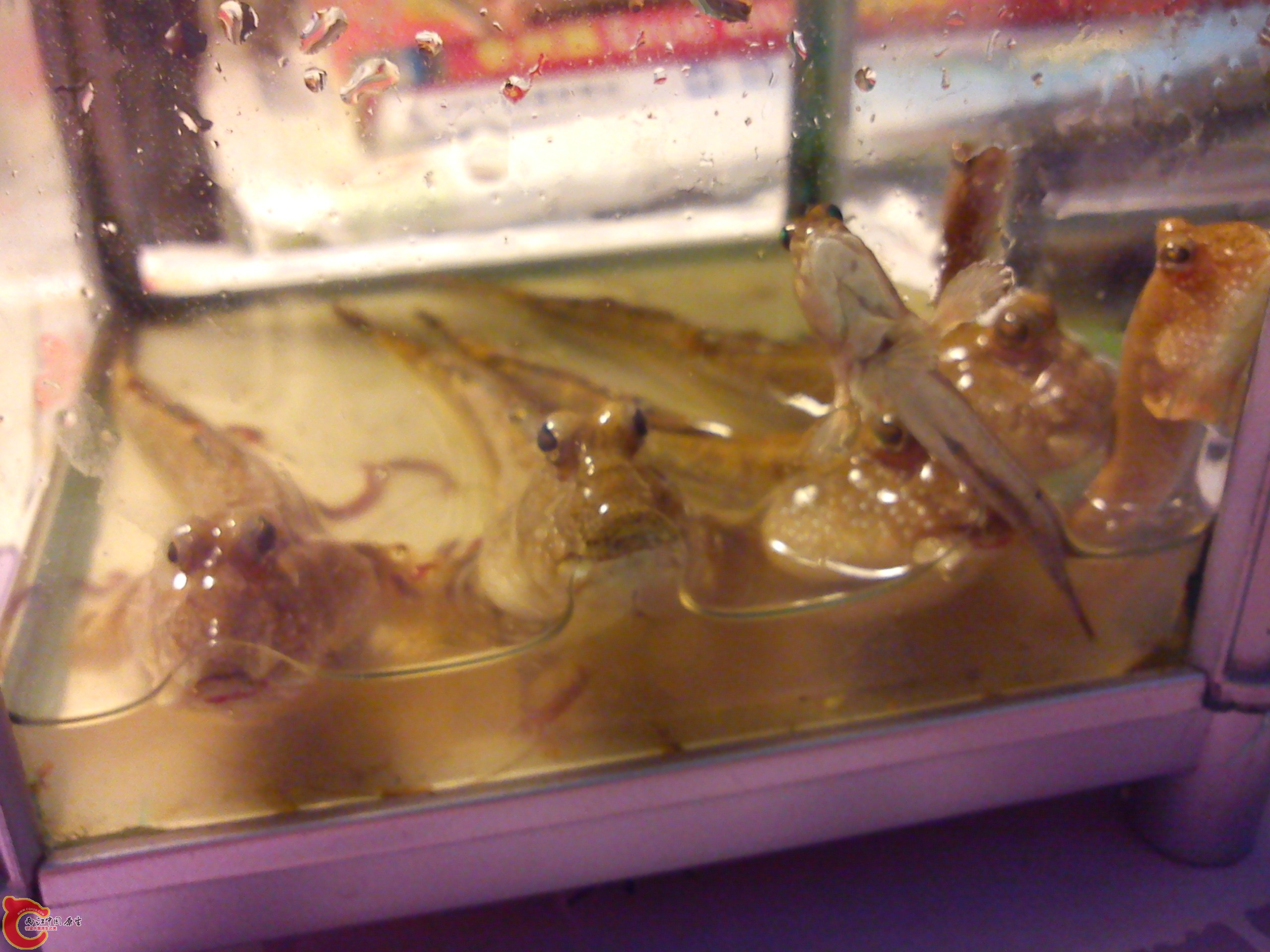 Camera_20120505_195210.jpg