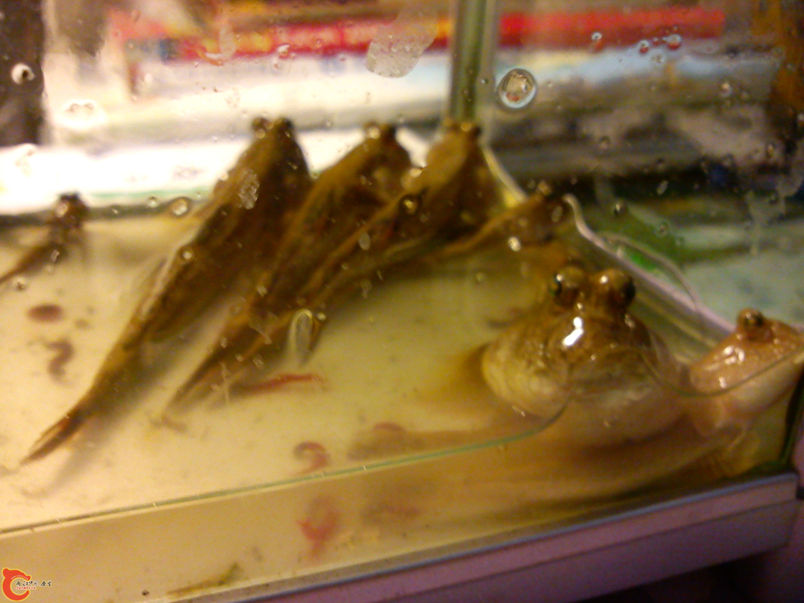 Camera_20120505_195343.jpg