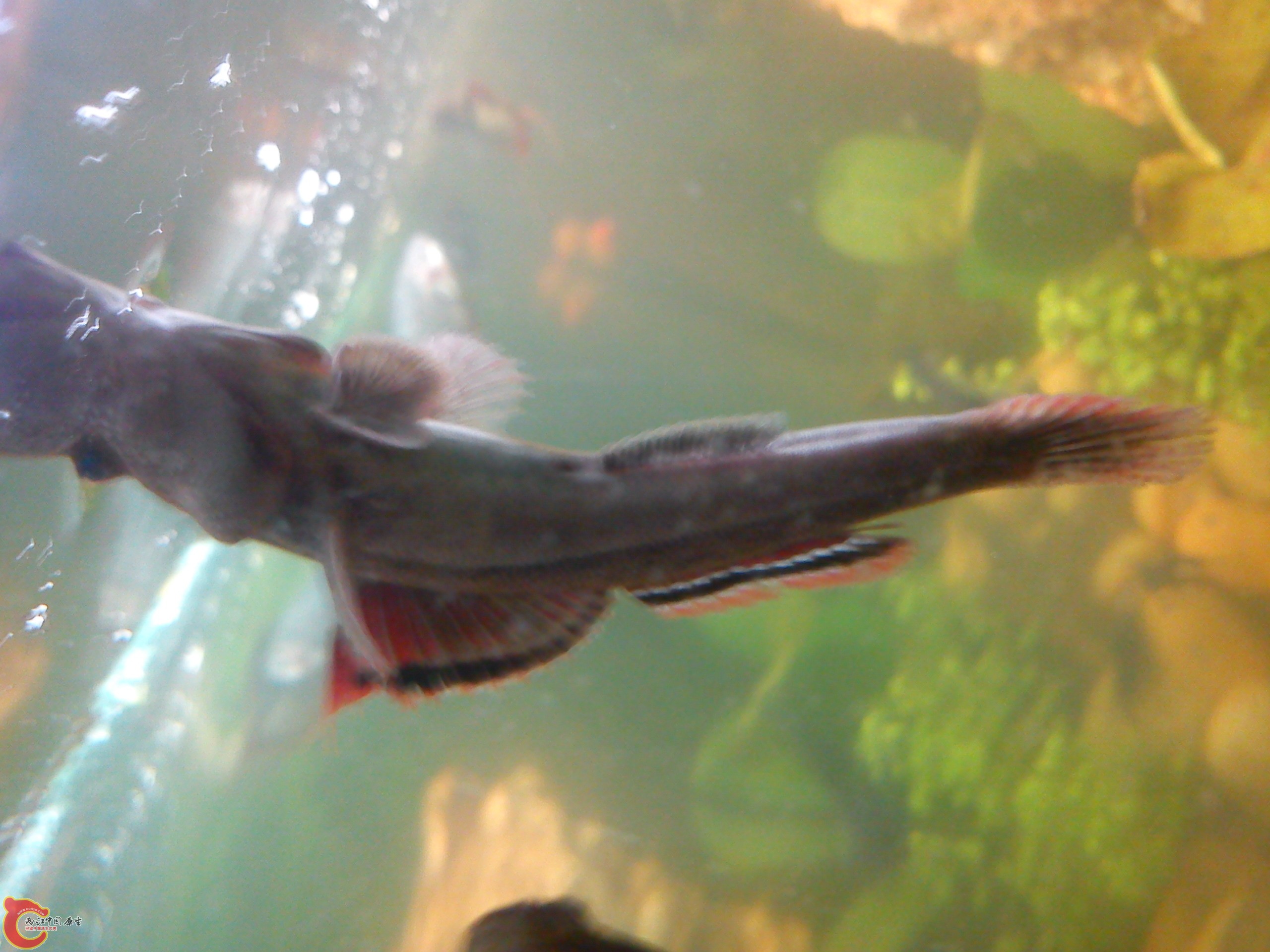 Camera_20120506_074218.jpg