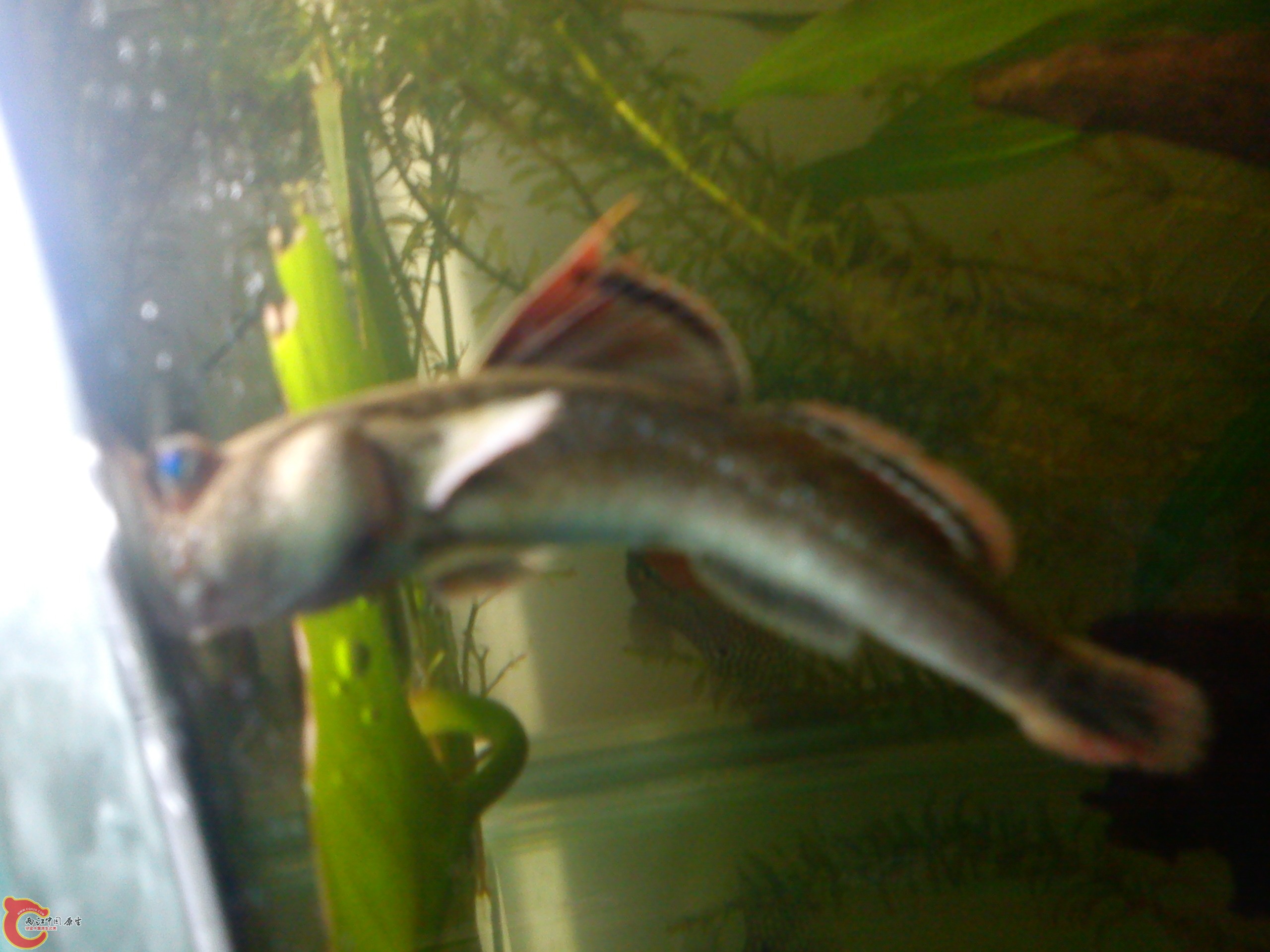 Camera_20120506_074346.jpg