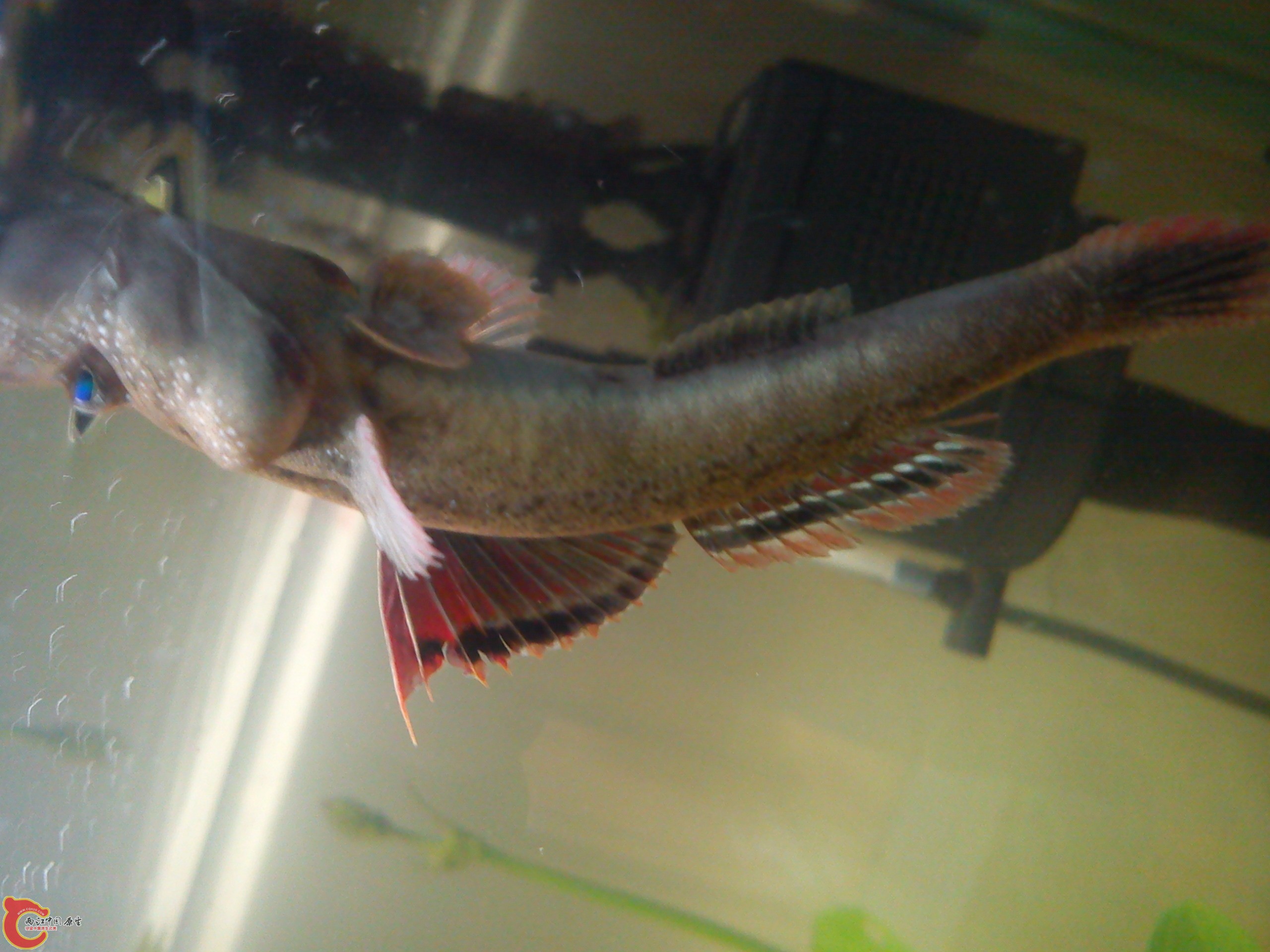 Camera_20120506_074456.jpg