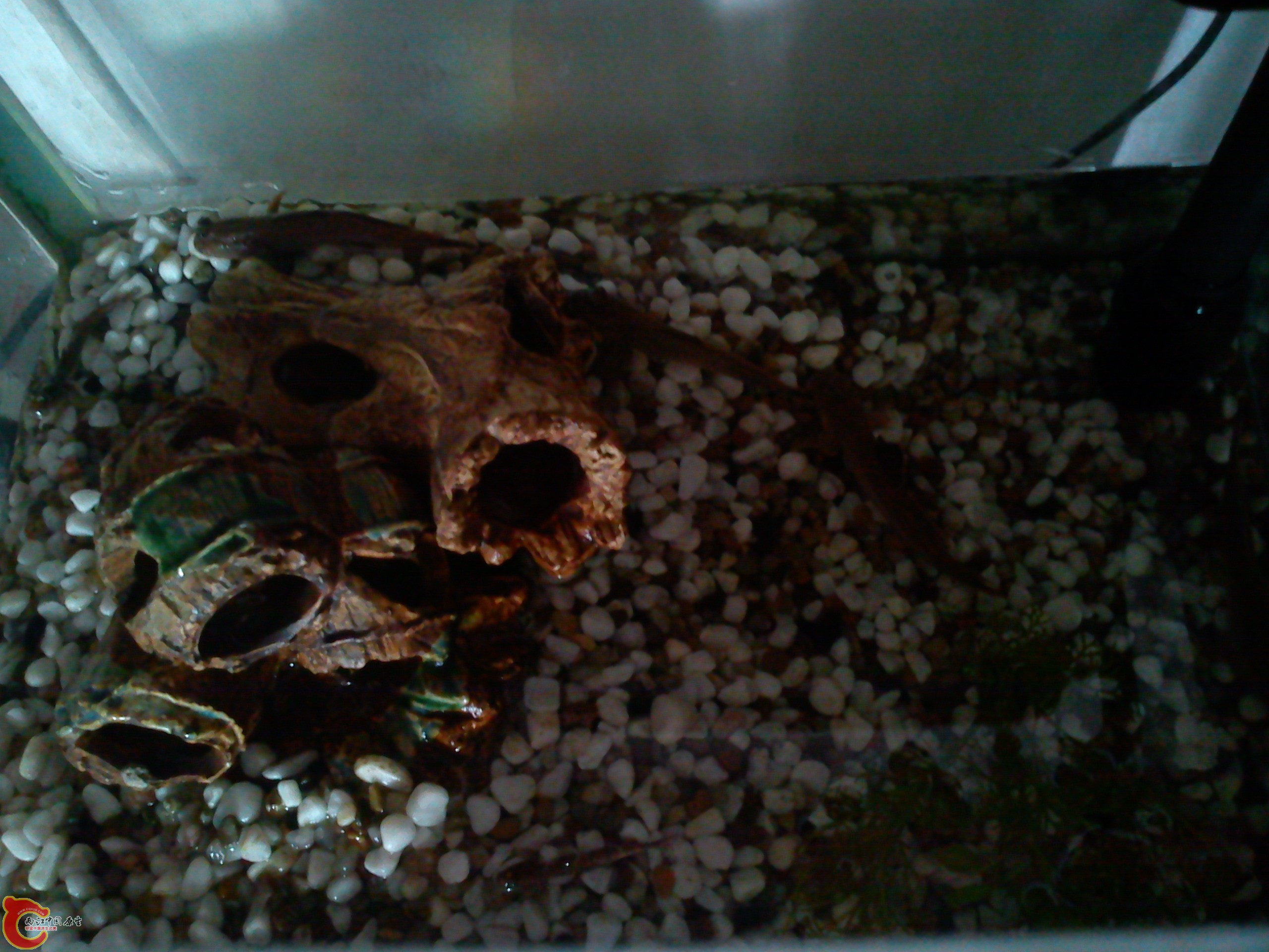 Camera_20120506_113114.jpg