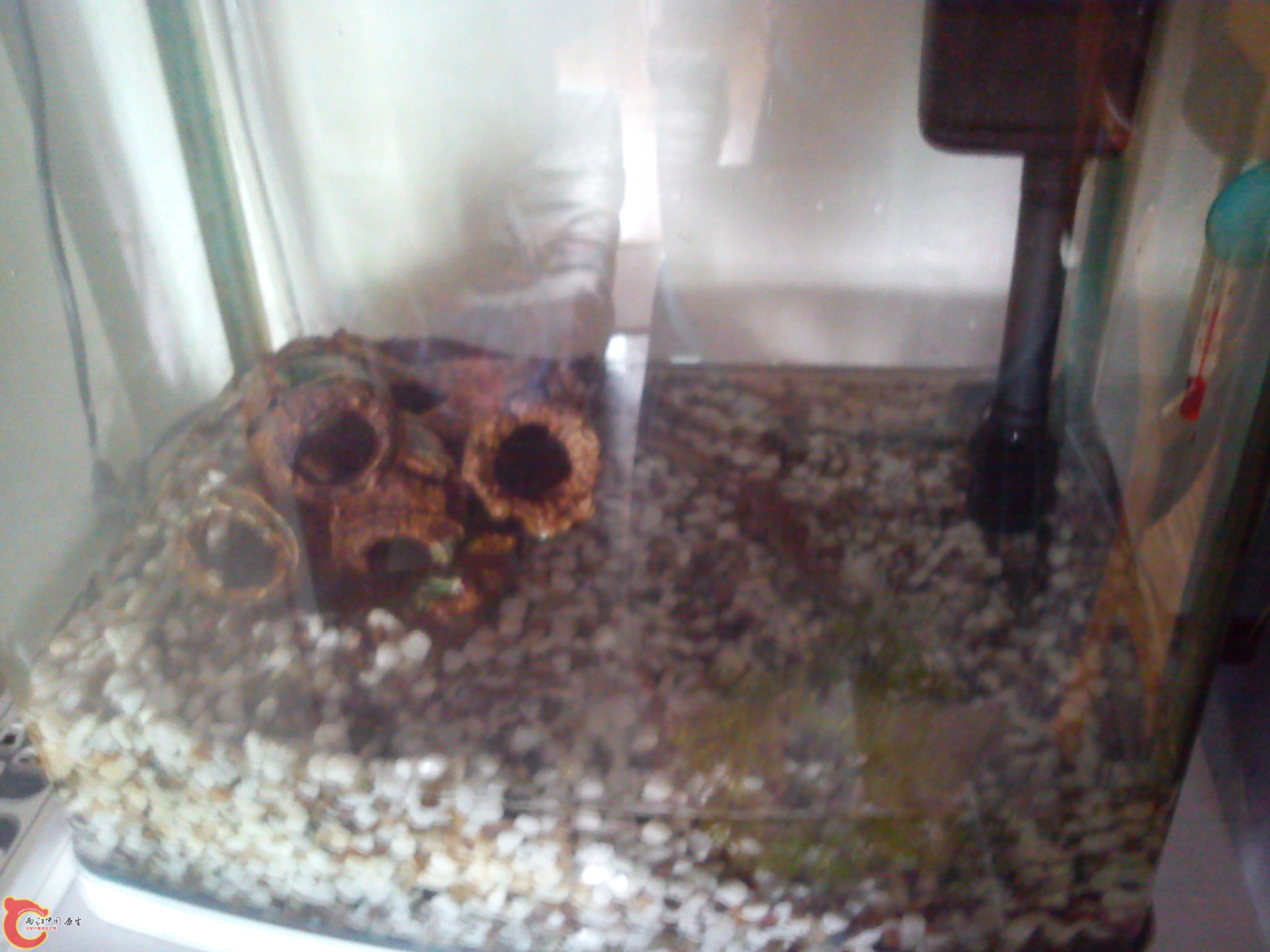 Camera_20120506_113121.jpg