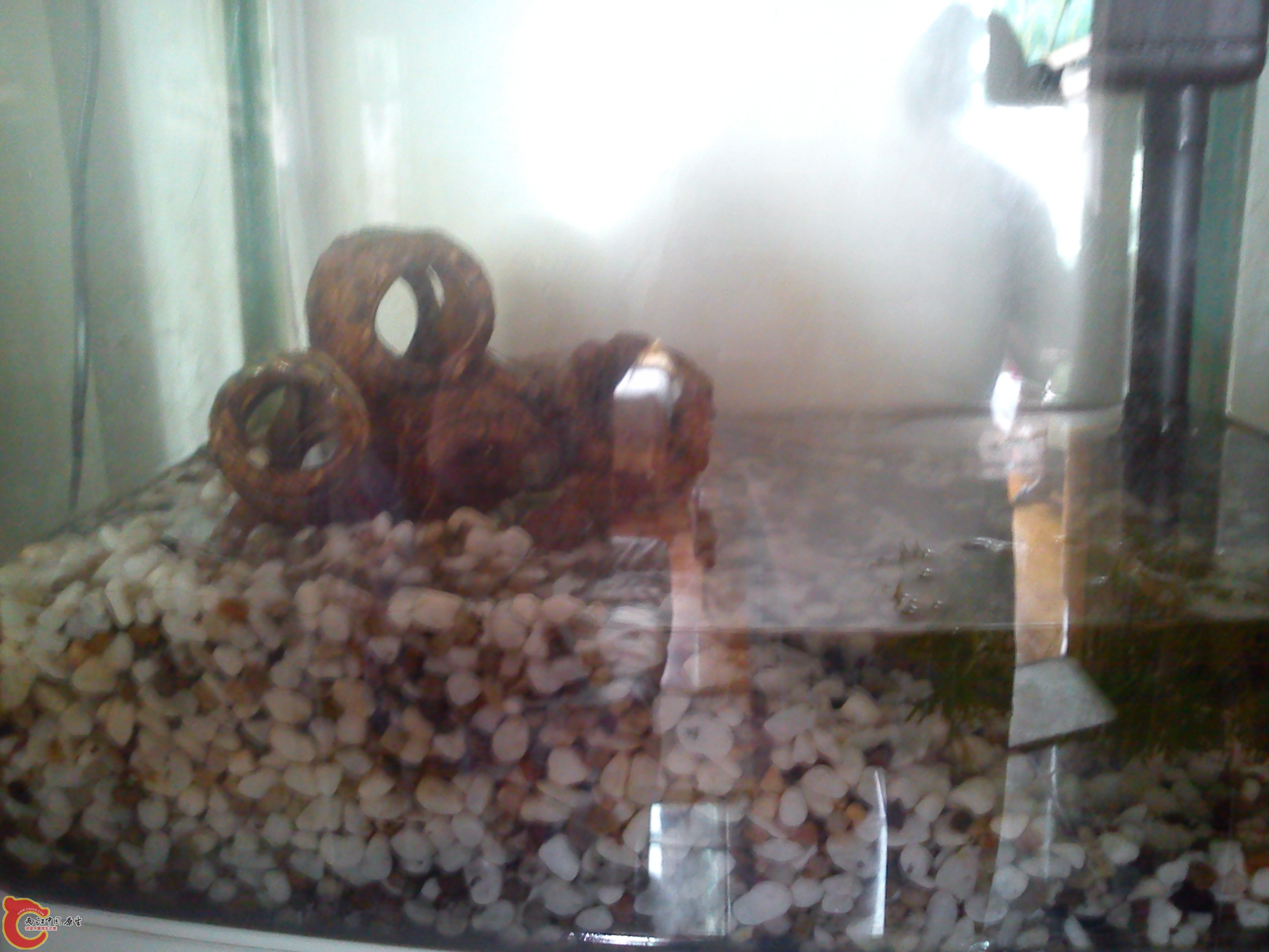 Camera_20120506_113136.jpg