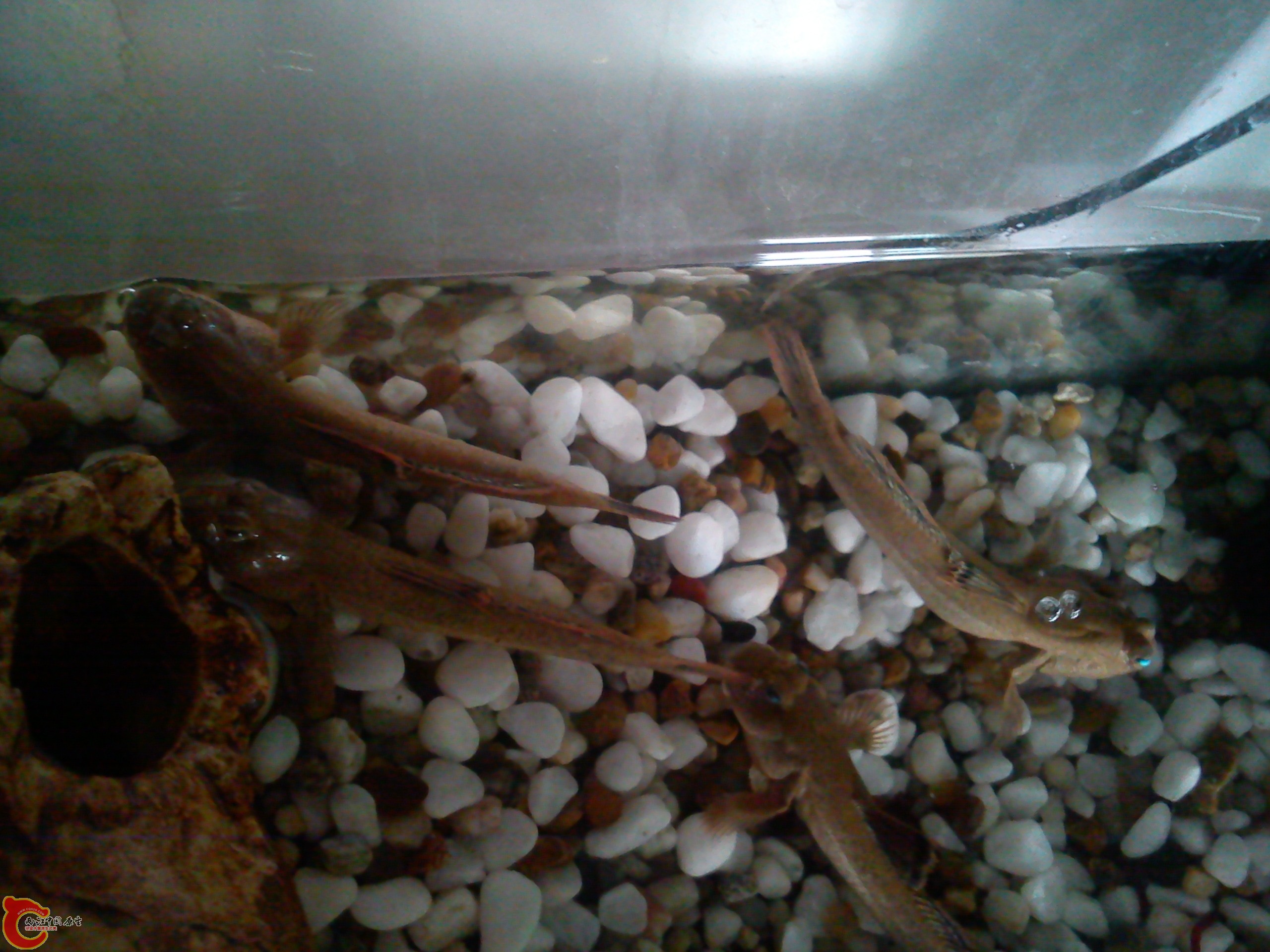 Camera_20120506_113155.jpg