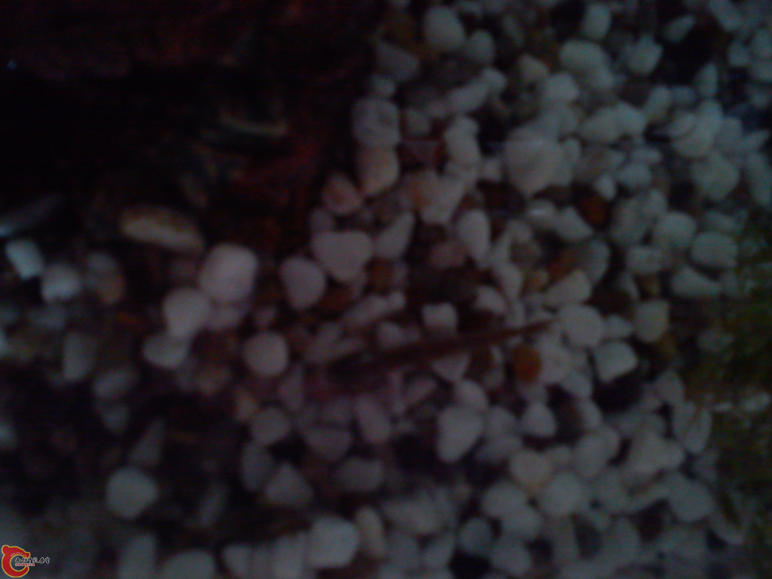 Camera_20120506_113208.jpg