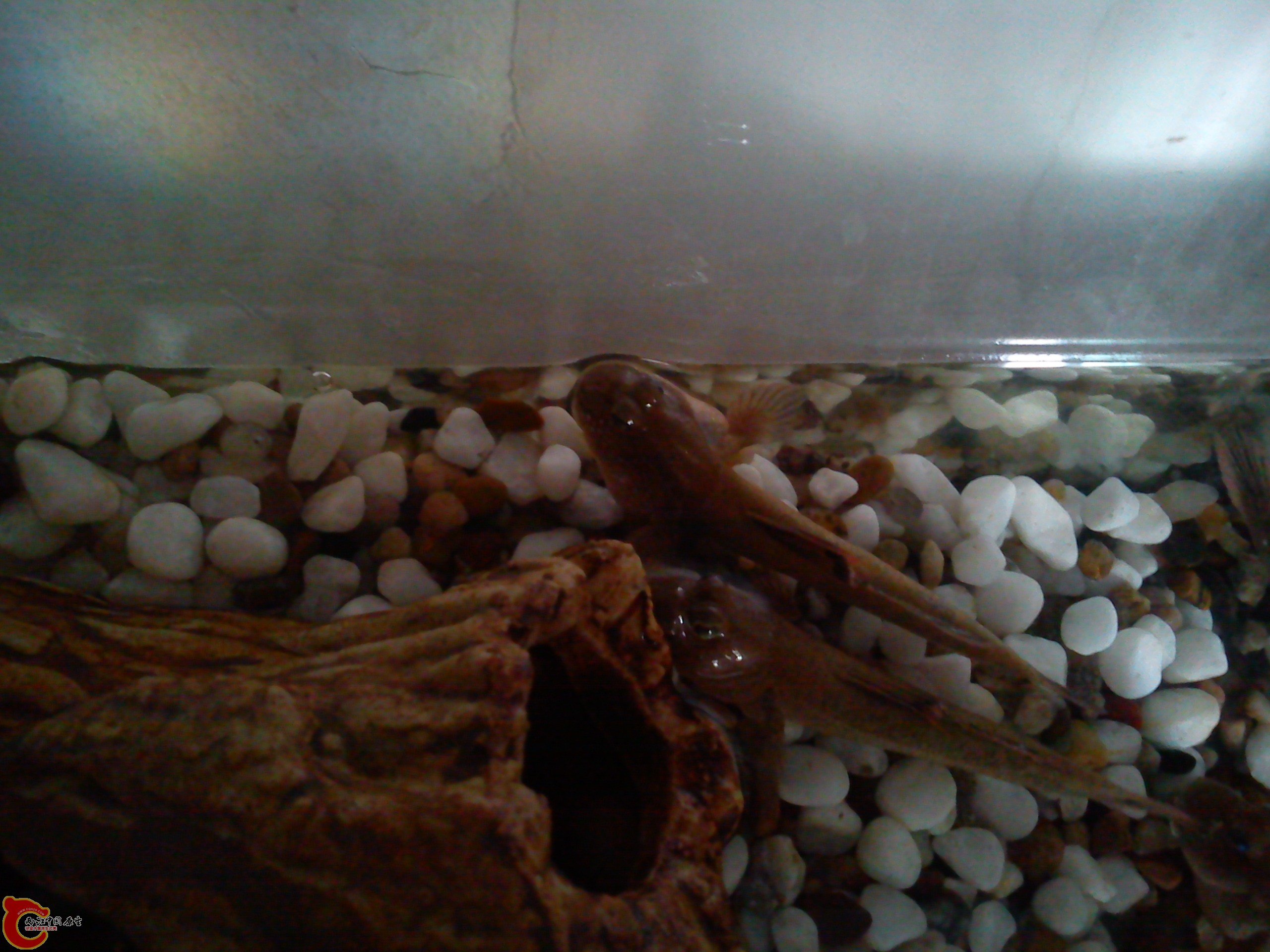 Camera_20120506_113217.jpg