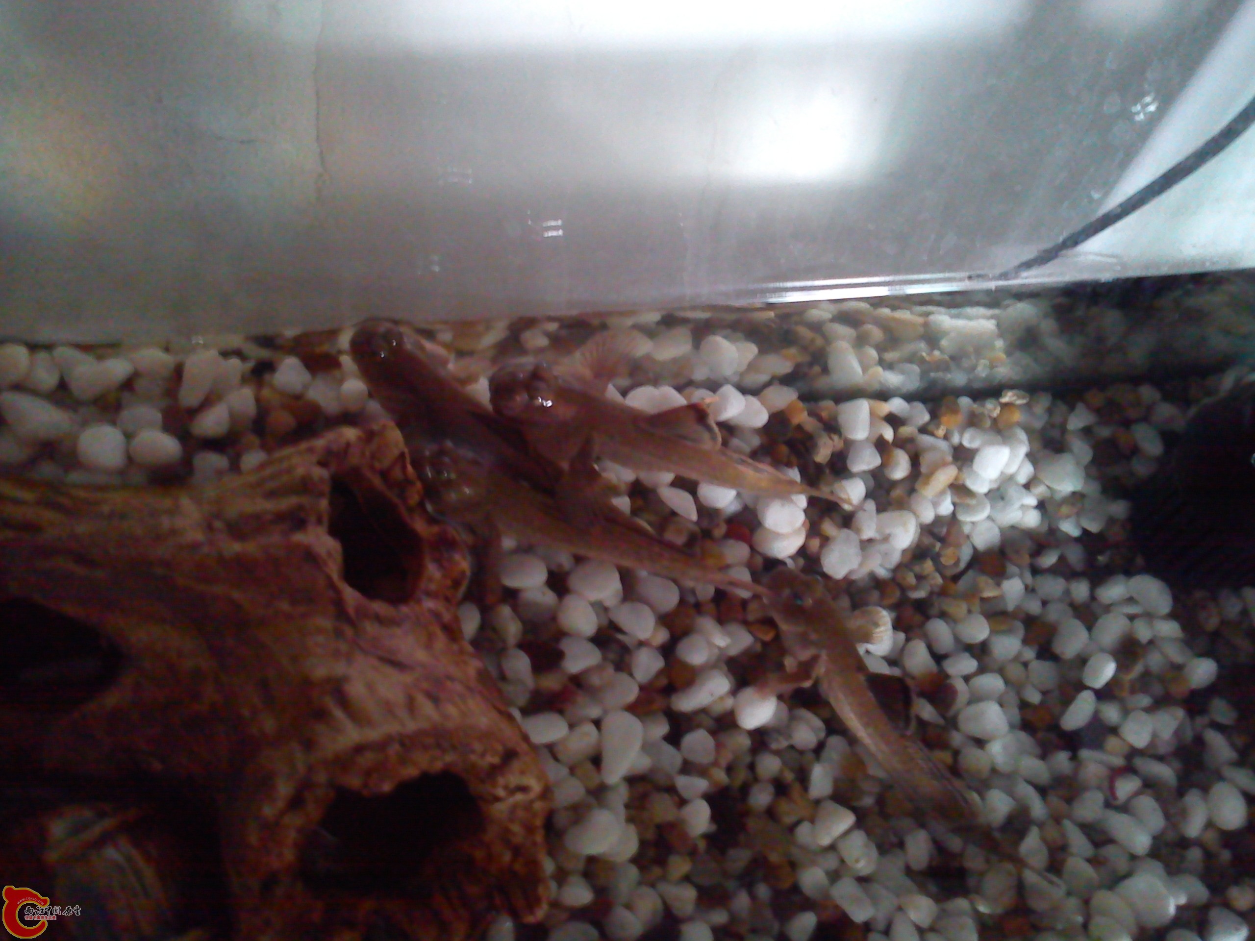 Camera_20120506_113239.jpg