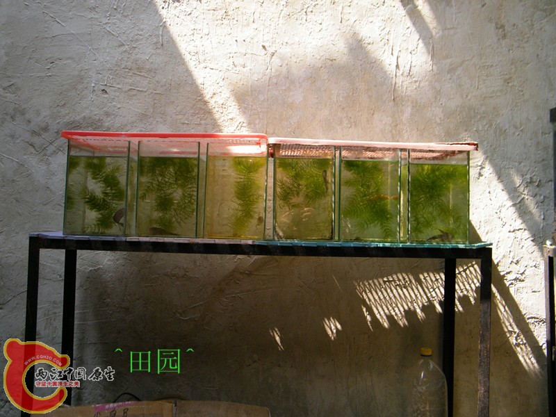 DSCF3589_副本.jpg
