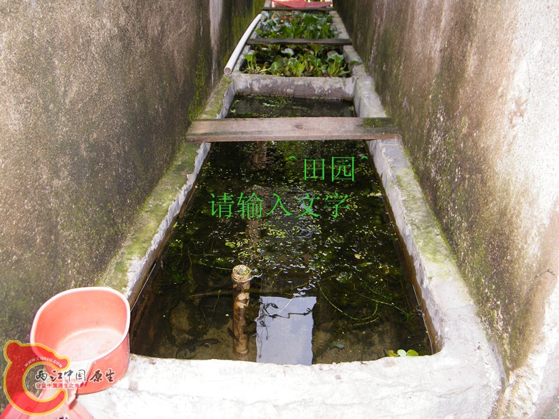 DSCF3612_副本.jpg