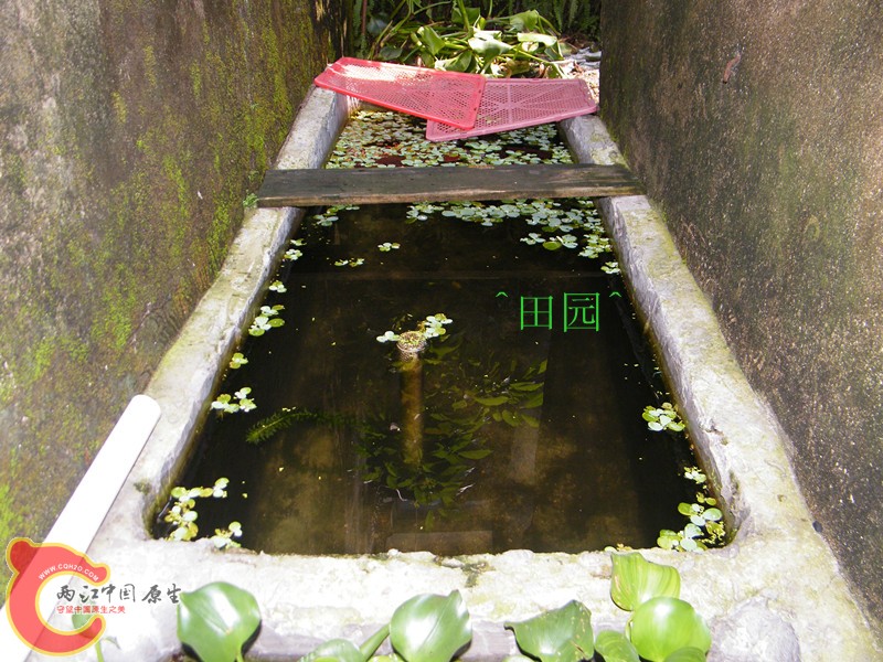 DSCF3614_副本.jpg